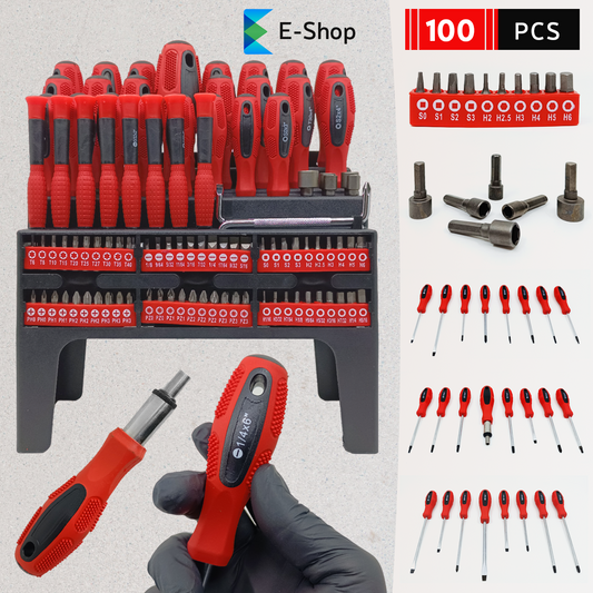 100-DELNI SET ODVIJAČA I BITOVA