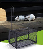 ČUMEZ-ZAMKA ZA ŠTETOČINE-3 KOMADA