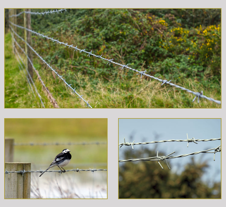 BODLJIKAVA ŽICA 100M