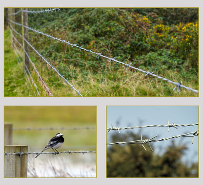 BODLJIKAVA ŽICA 100M